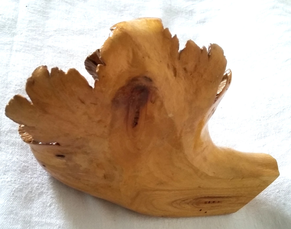 Cypress root (?) single flower vase/pen holder Handcrafted