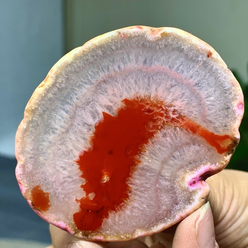 42G Natural Beautiful Agate Geode Druzy Slice Extra Large Gemstone