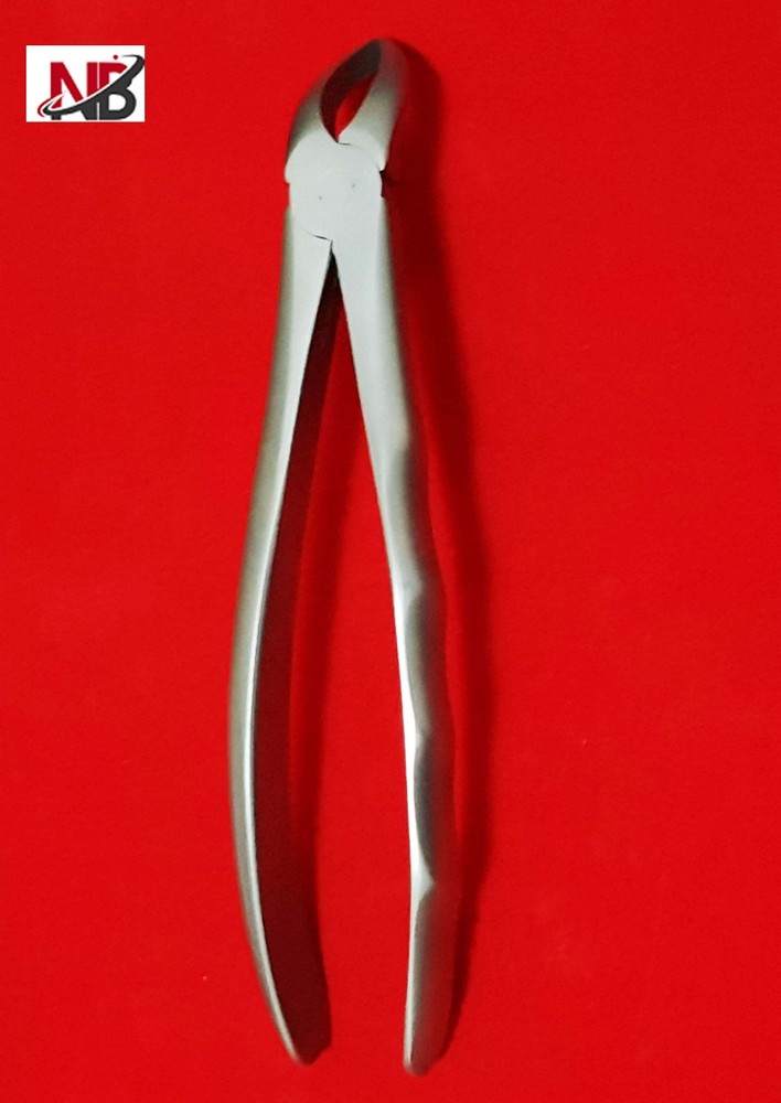 151 DENTAL EXTRACTING EXTRACTION FORCEPS LOWER TEETH ROOTS,151 ANATOMICAL HANDLE