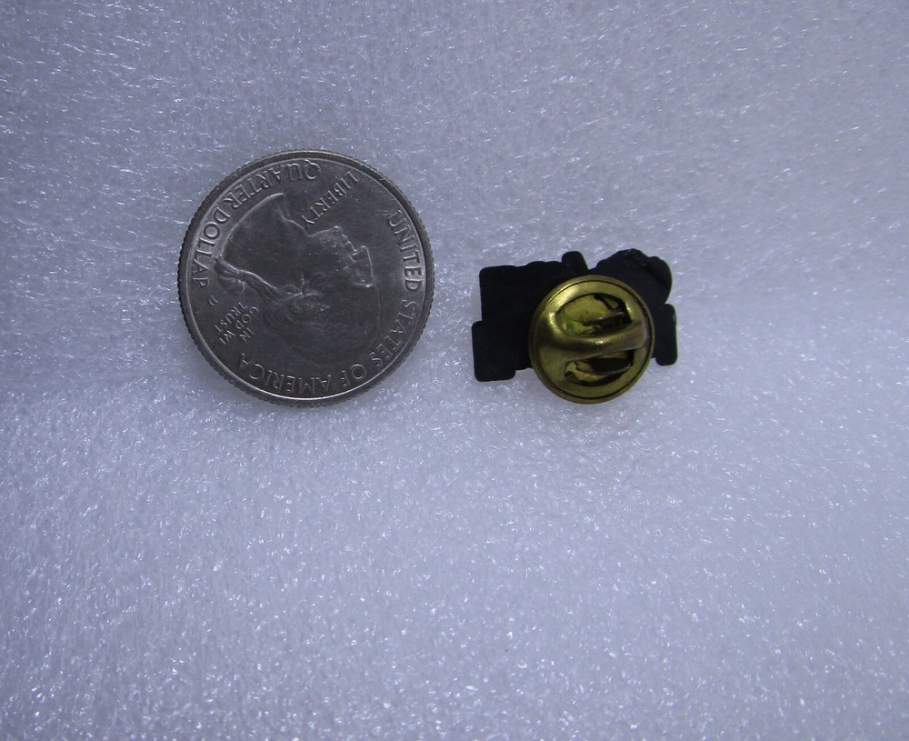Field Day Plastic Pin