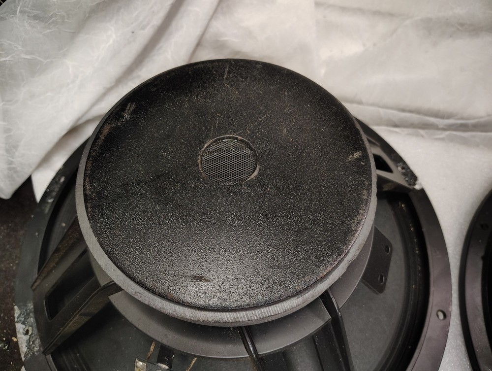 EAP-15D speaker woofers, one pair