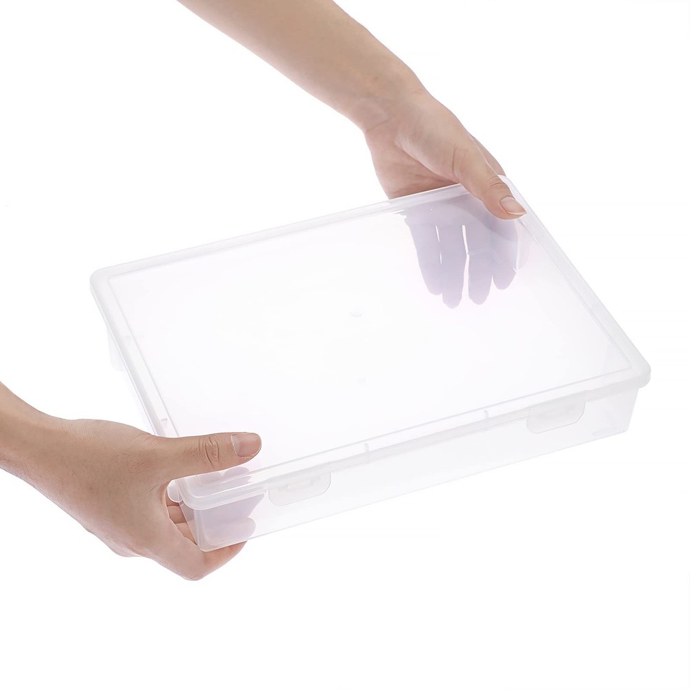 BTSKY Clear Plastic Storage Box with Flap Lid, Medium-2 Pack,