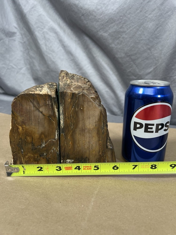 Petrified Wood Bookend Pair with felt padding