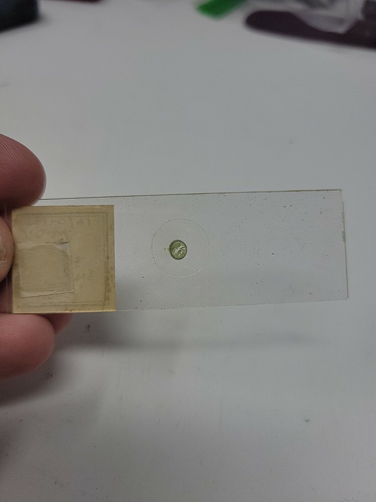 Vintage Microscope Slide 1941