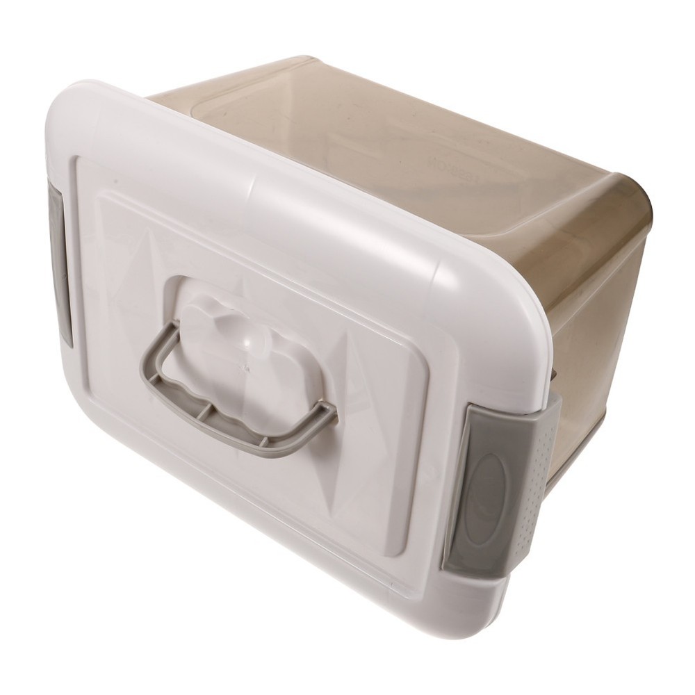 Storage Containers with Lids Handle Compartment Box Small Trunk Organizer