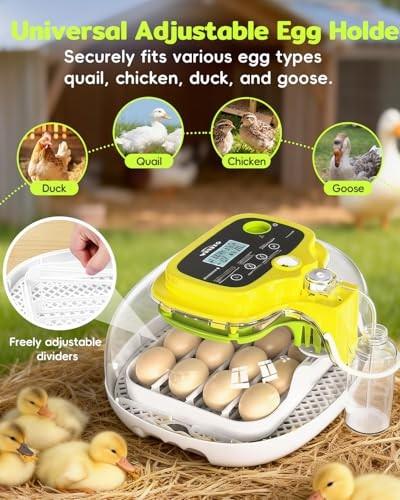 Incubators for Hatching Eggs, 16 Eggs Incubator with Auto Water Refill,