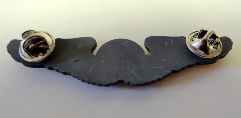 84TH FIGHTER INTERCEPTOR SQUADRON WINGS