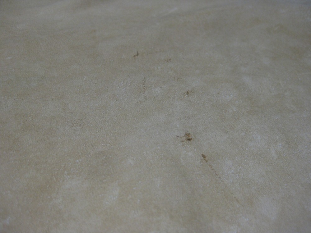 Top Grain Deer Leather #0012297 Row 42