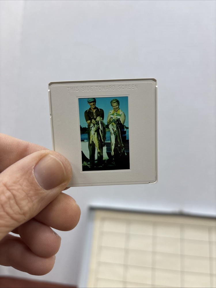 Vintage 35mm Slide Storage Case With Slides **Untested