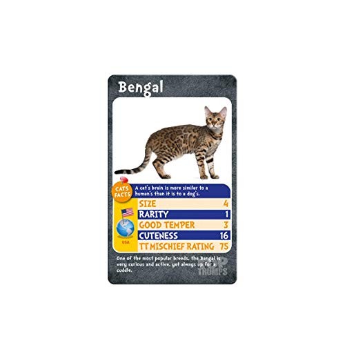 Cats and Kittens Card Game