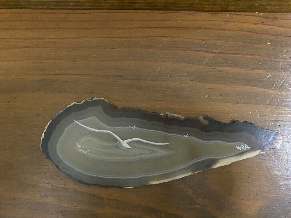 Painted Geode  Gemstone Rock Thin Slice Art New Orleans WRA 8"