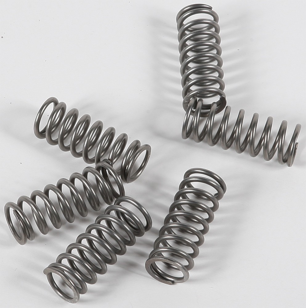 EBC Clutch Spring Set - Clutch Springs - CSK198