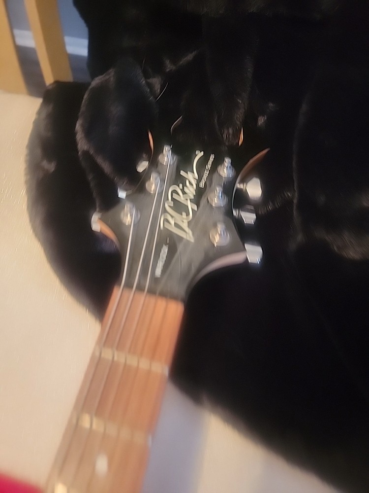 Sebastian Bach Autographed Guitar