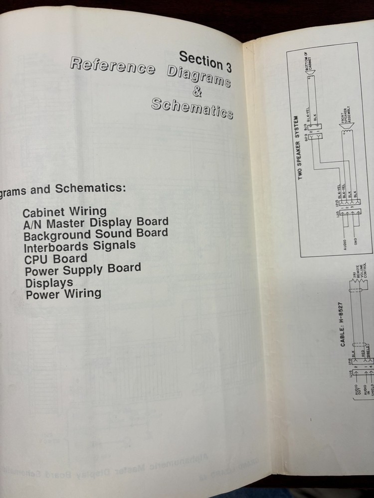 ORIGINAL-WILLIAMS-GRAND LIZARD-INSTRUCTION MANUAL INCLUDING SCHEMATICS