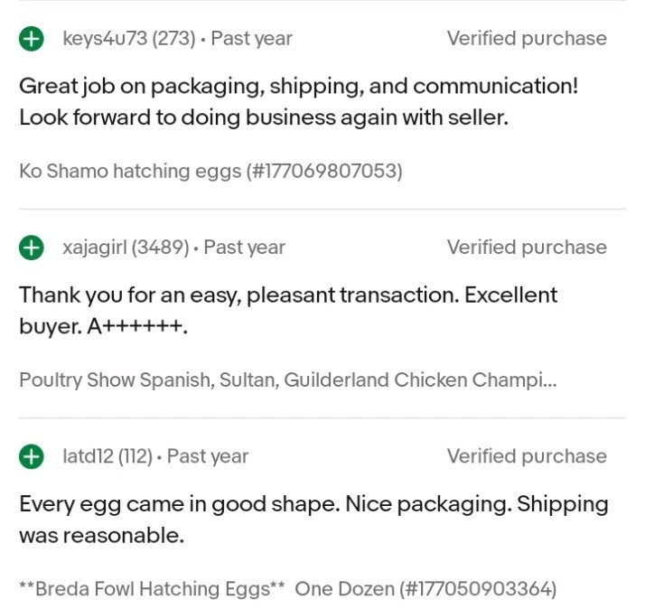 Breda Fowl Hatching Eggs