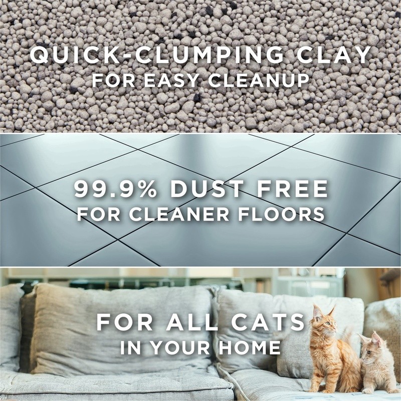 Unscented Cat Litter Clumping Low Dust Odor Control Activated Charcoal Multi Cat