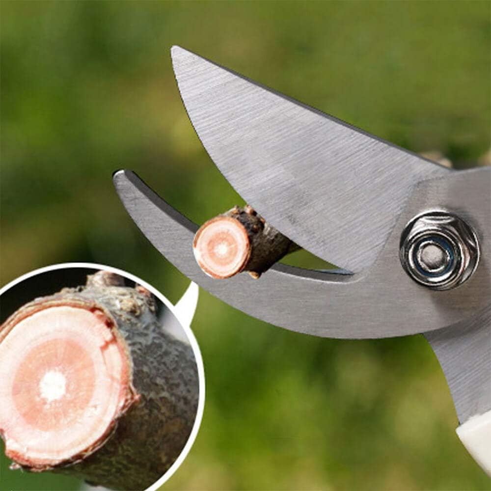 BUGUI Bypass Garden Pruning Shears - 2 Pack, Ultra 7" (C010), Ivory