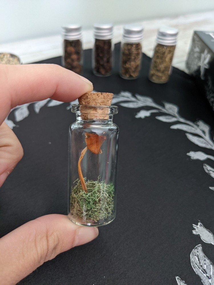 Green Witch Tarot and Altar Kit