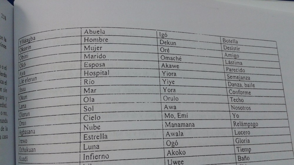 Libro DICE IFA Religion Yoruba Ifa