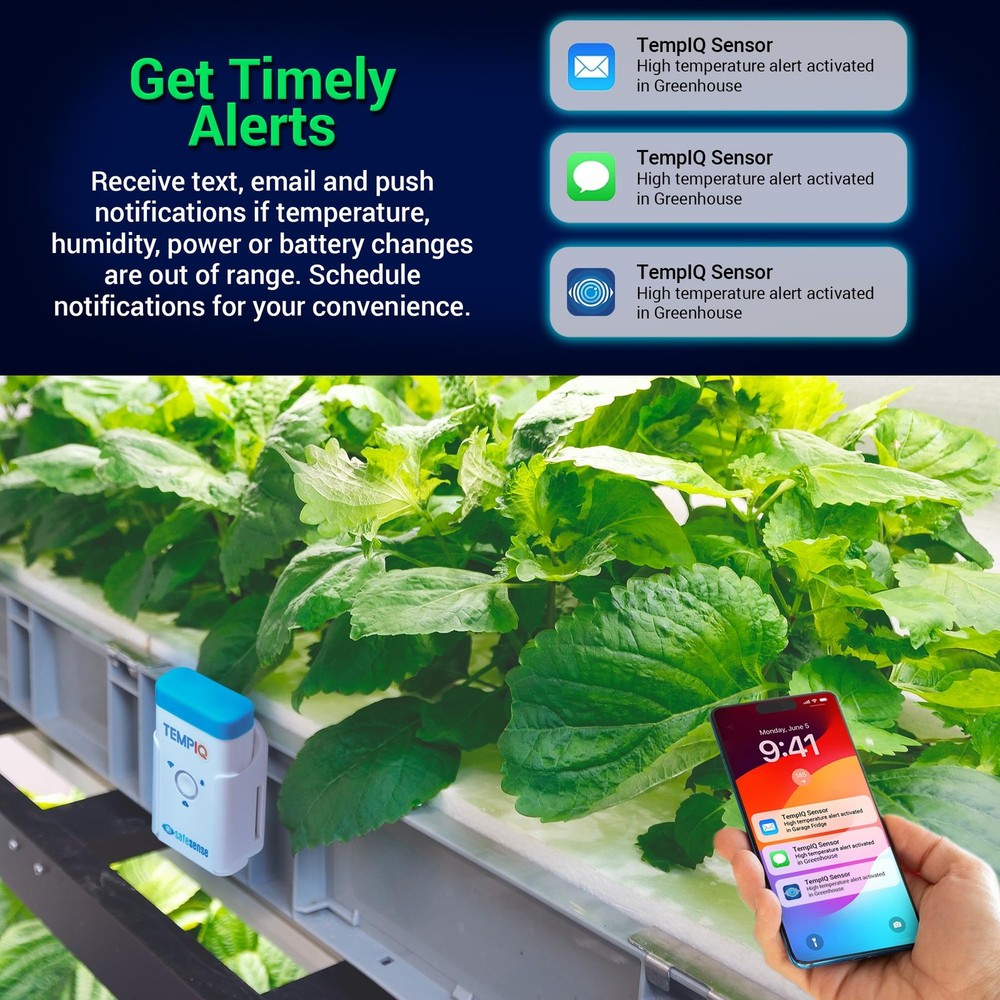 TEMPIQ Remote WiFi Temperature & Humidity Sensor - App Integration, Alerts,...