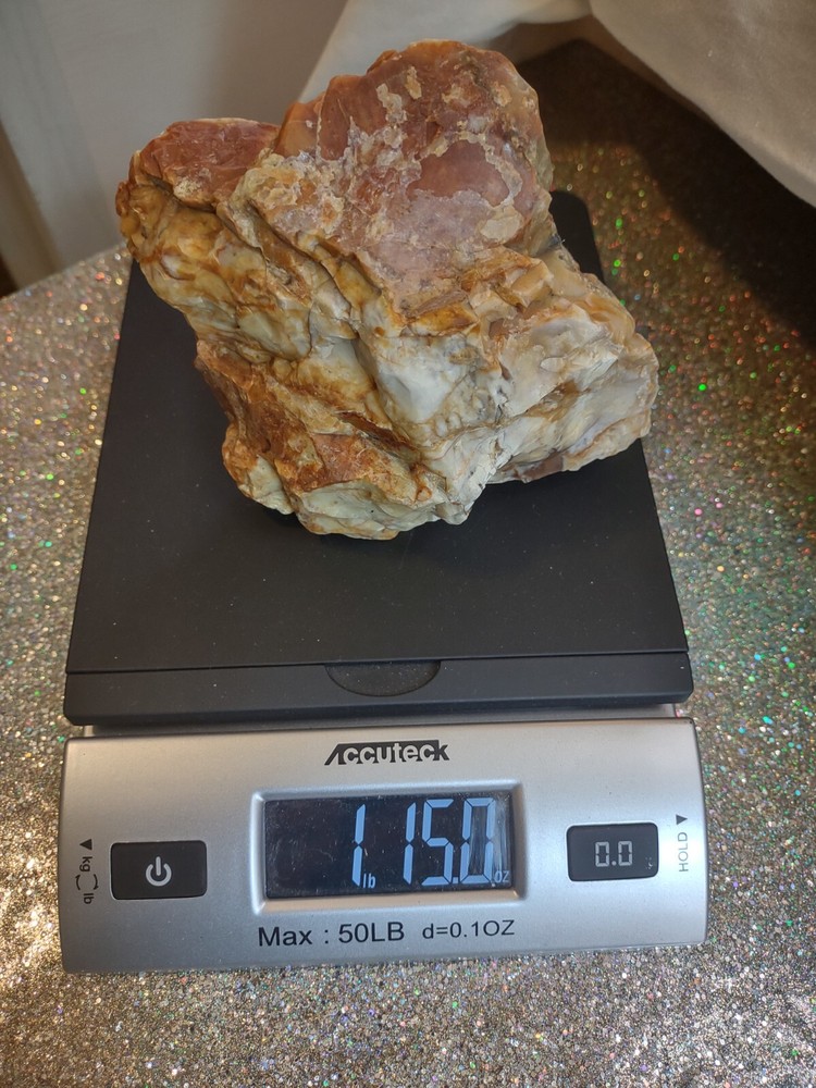 Washington State Raw Fire Opal 1.15 Lbs Spectacular Self Sourced