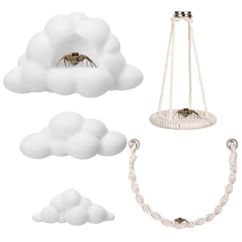 Jumping Spider Enclosure Accessories Kit 5 PCS – Include Cloud Platforms with