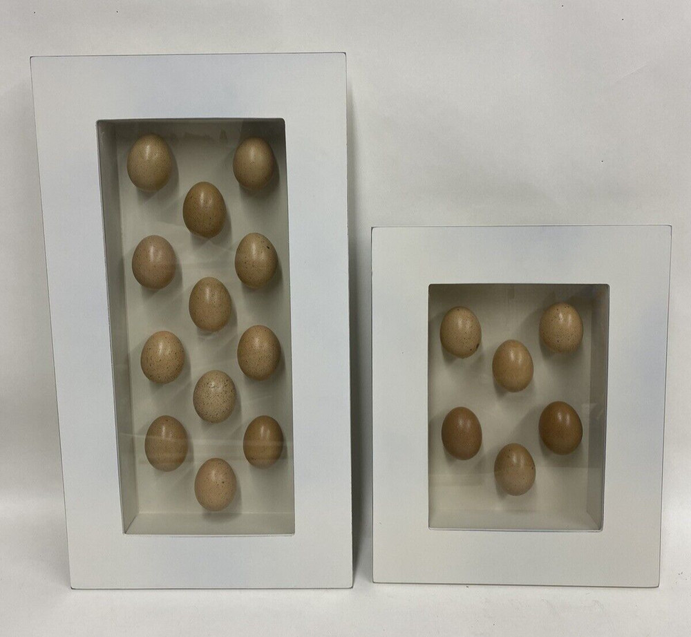 TWO Egg Shadow Boxes Made from 18 Real Hen Eggs