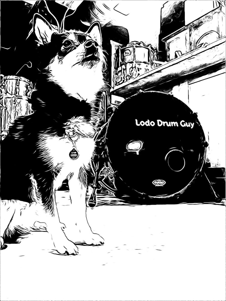 PDP Pacific Double Tom Mount Holder MISSING 3rd CLAMP #RU3