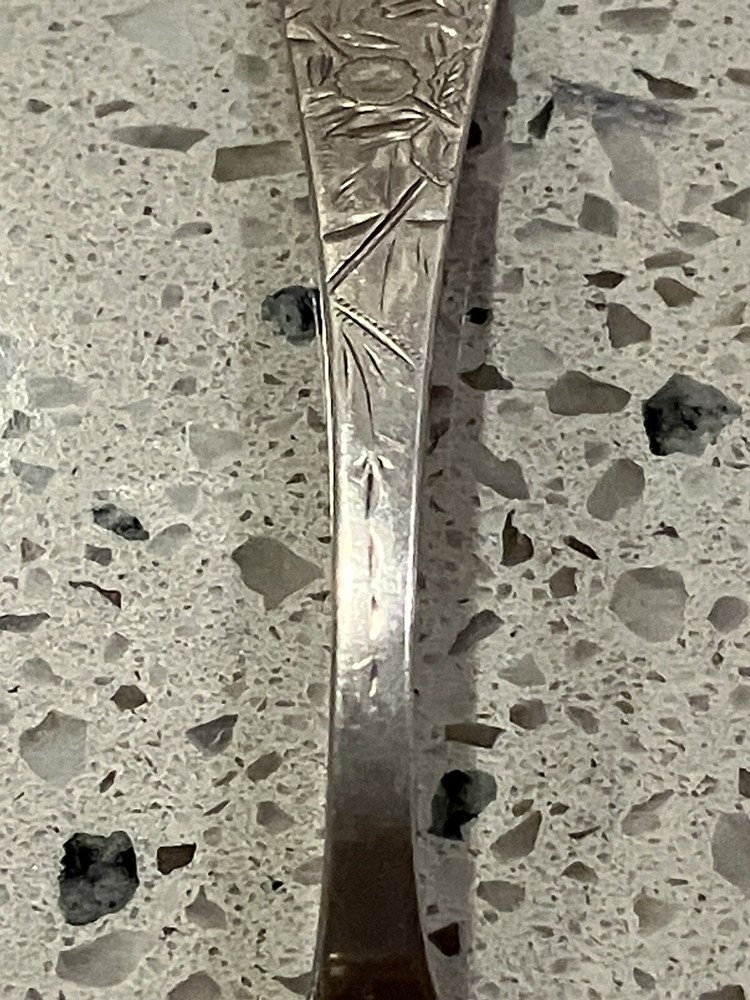 Sterling Silver Souvenir Spoon / TOWLE MFG CO / 1885