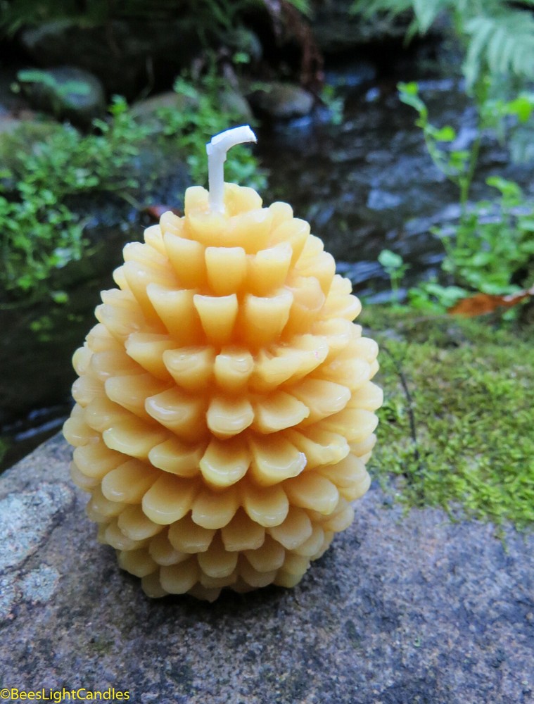Pinecone 100% Beeswax Candles BULK / Natural Pine Cone / 🍂 Forest Pine Trees 🐝