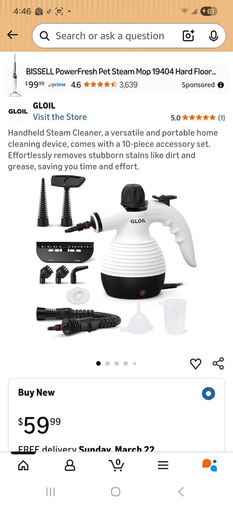 Gloil Handheld Steam Cleaner