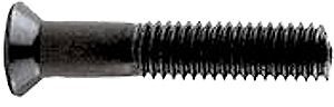 Standard Phillips Bolt 1" Black