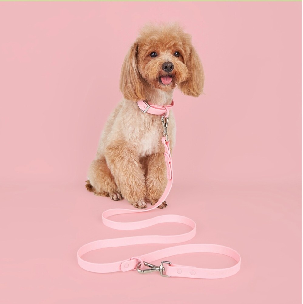 pet traction rope set