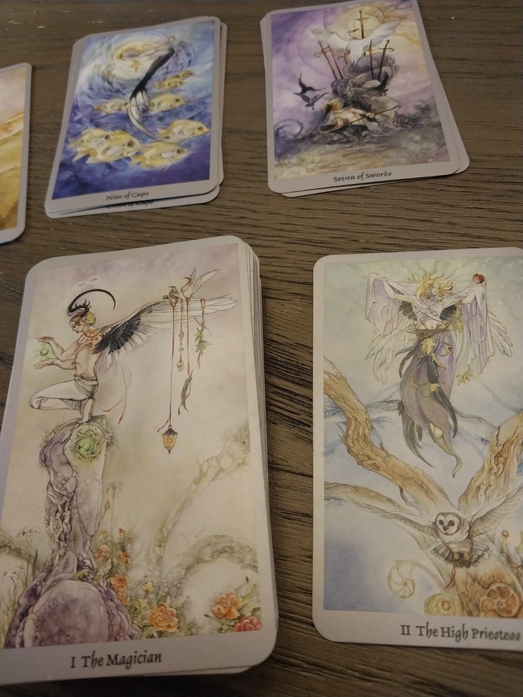 Shadowscapes Tarot & Guardian Tarot Bundle