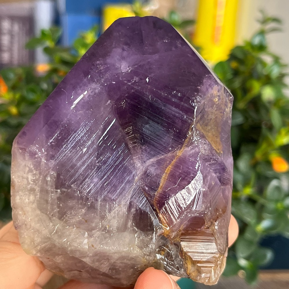 467g Natural Amethyst geode quartz clustercrystal specimen Healing