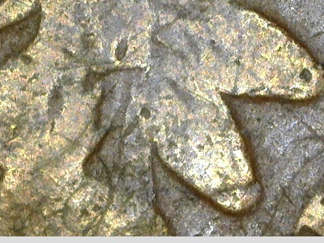 1864-L Indian Cent - Good (#56666-K)
