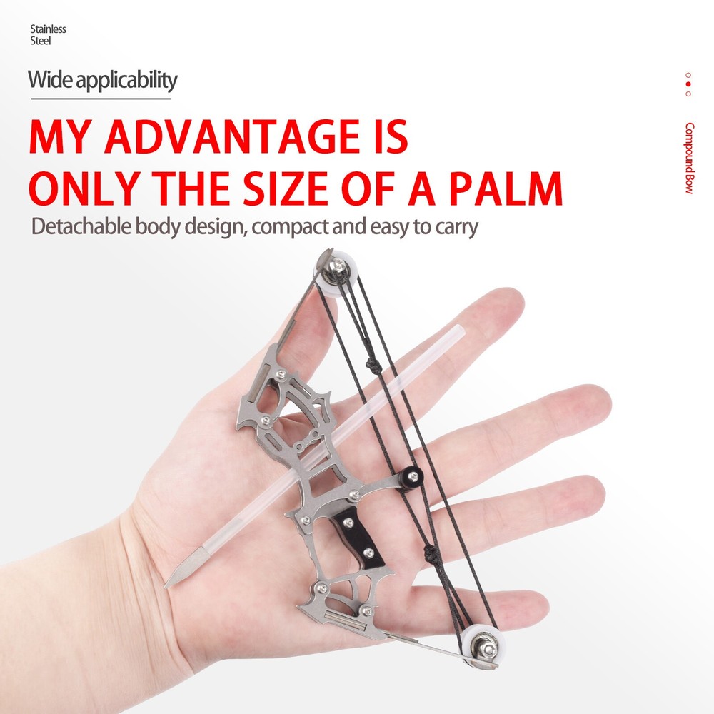 1 MINI Compound Bows Small Size 12 mini Arrows for Hunting Shoot Target Practise