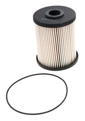 Racing Filters Fuel Filter