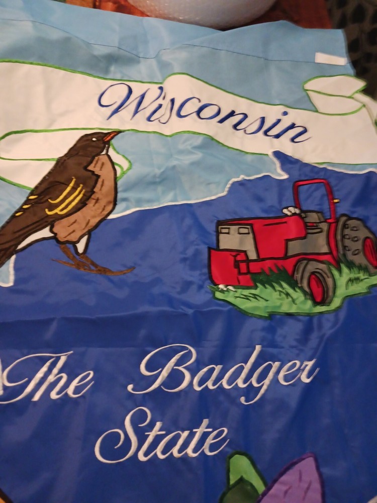 Wisconsin Flag The Badger State
