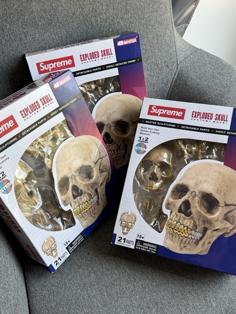 Supreme 4D Model Human Skull BRAND NEW