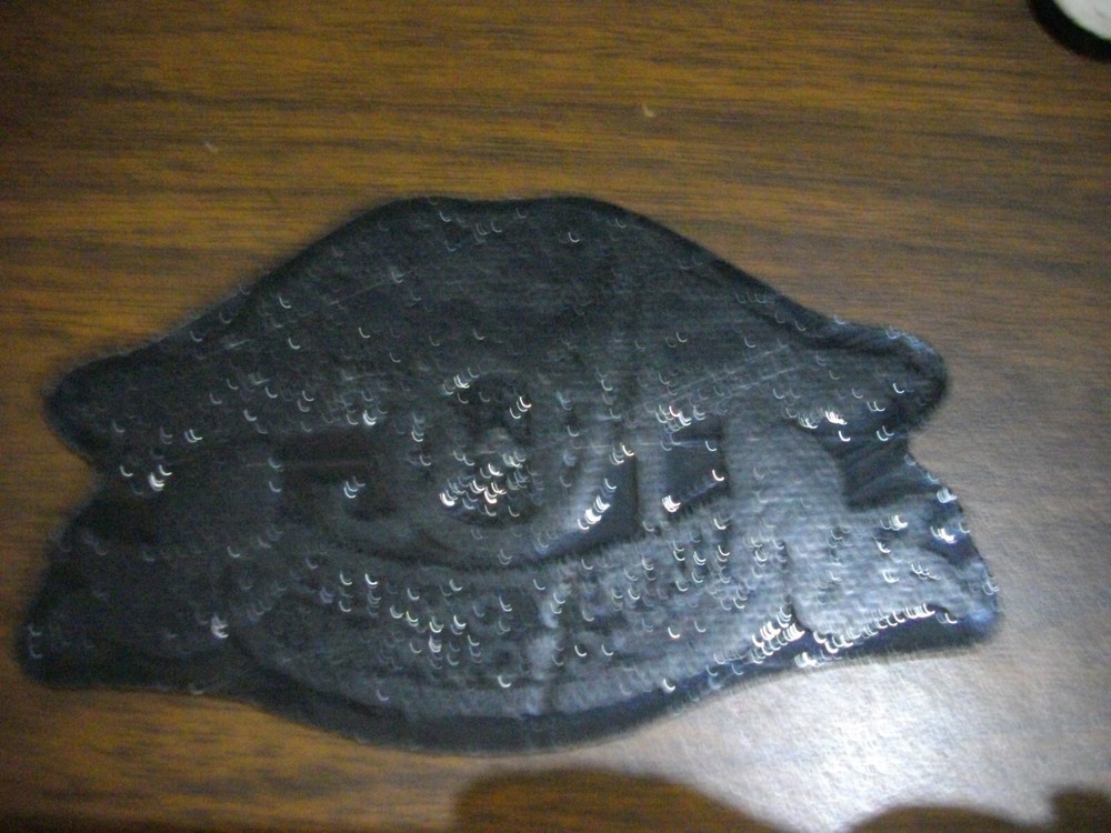 Eagle Gold Patch ~ Harley Davidson Owners Group HOG 4.75"x3"