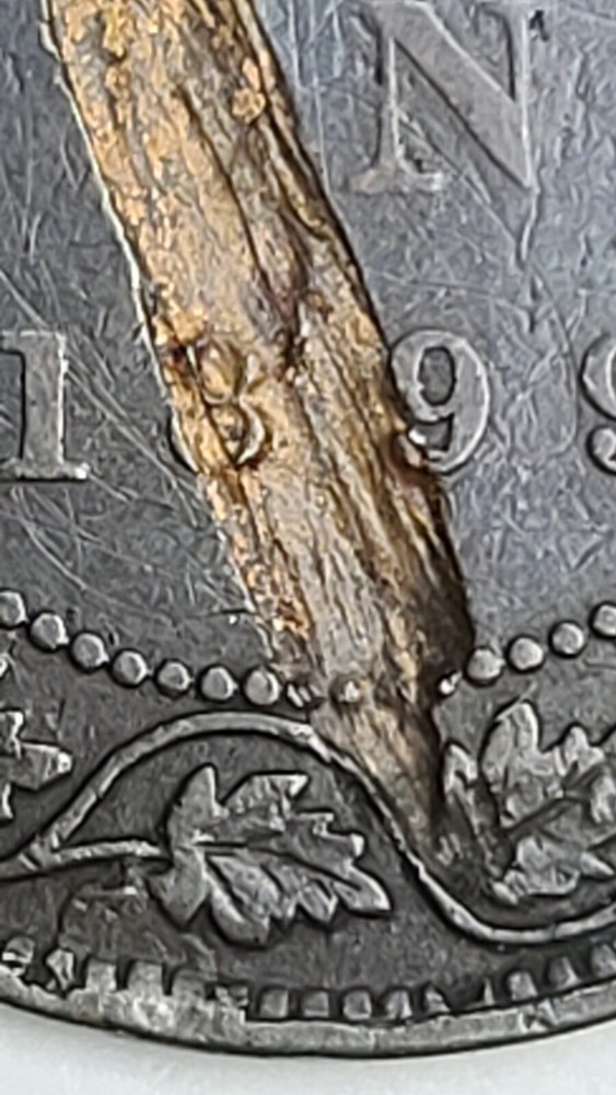 Canada 1899 Large Cent Lamination Error (Invt840)