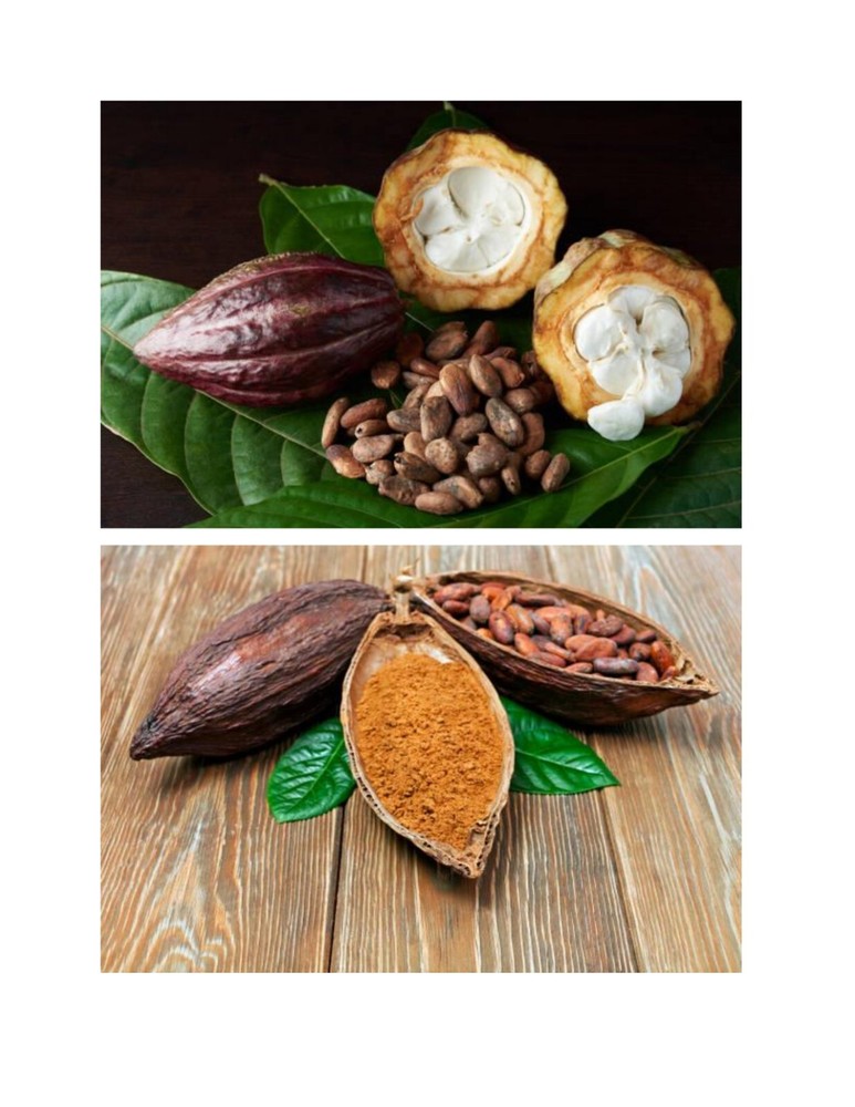 organic cocoa powder -100 g