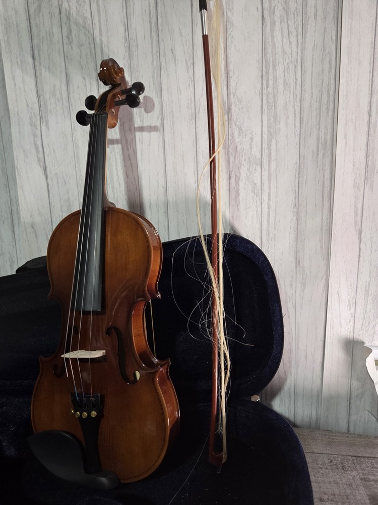 Pyle Solid Wood Violin Stringed Instrument-Student Grade Violin w/ Accessory Kit