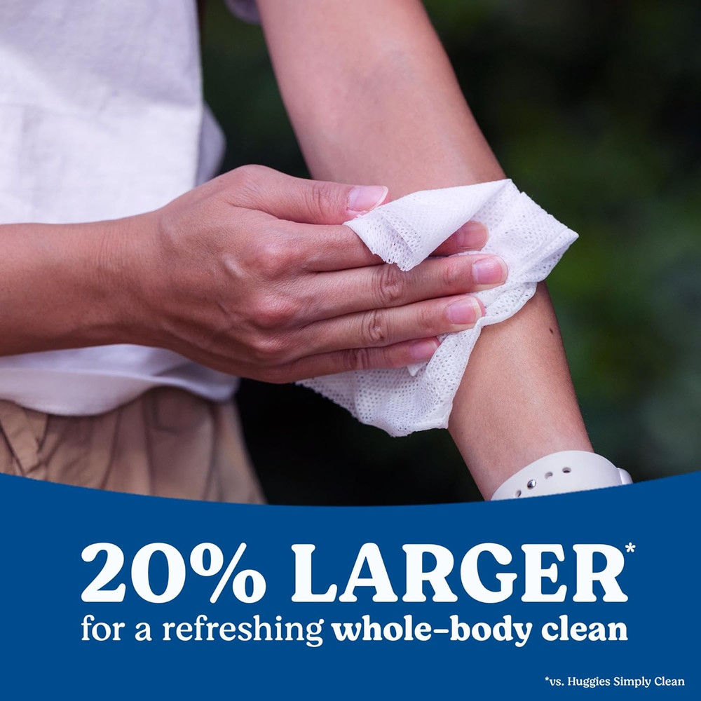 Extra Large Unscented Wipes, 9 Flip-Top Packs, 378 Count