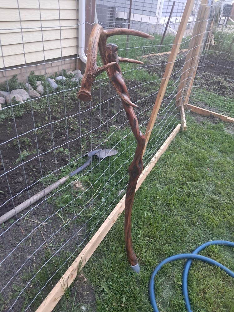 Diamond Willow Walking Stick With Deer Antler Handles