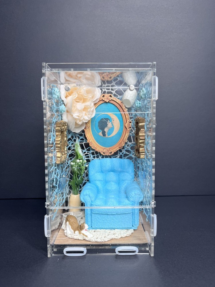 Front opening blue room Jumping Spider Enclosure
