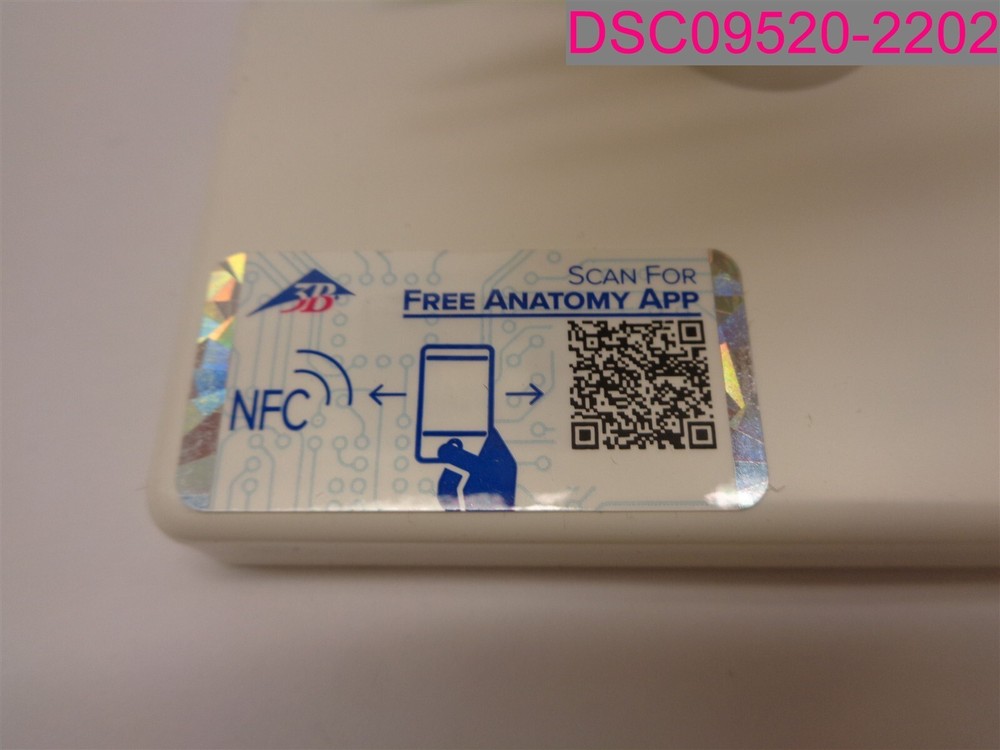 3B Scientific Product 1000144 Cervical Spinal Column A72