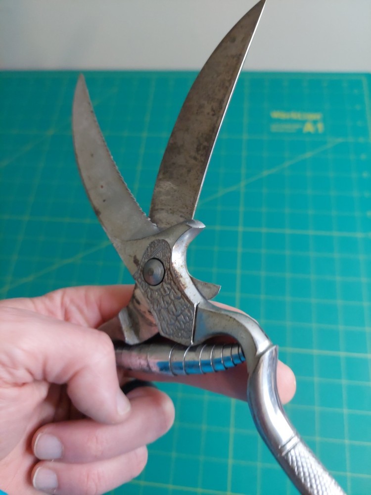 Vintage Angesa Italy 10” Vineyard Grape Poultry Pruning Shears Winery Eagle