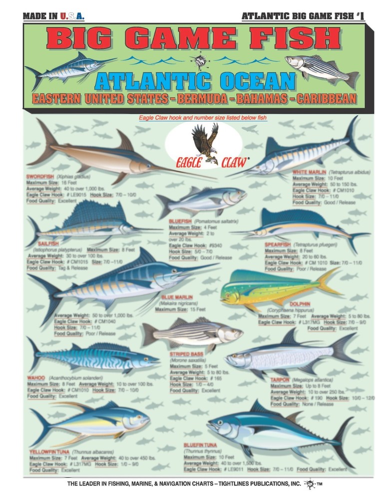 Atlantic Ocean Fish Identification #1 - Quick Reference Guide